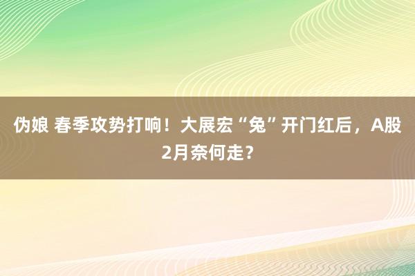 伪娘 春季攻势打响！大展宏“兔”开门红后，A股2月奈何走？