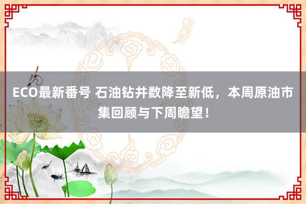 ECO最新番号 石油钻井数降至新低，本周原油市集回顾与下周瞻望！