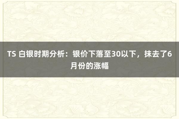 TS 白银时期分析：银价下落至30以下，抹去了6月份的涨幅