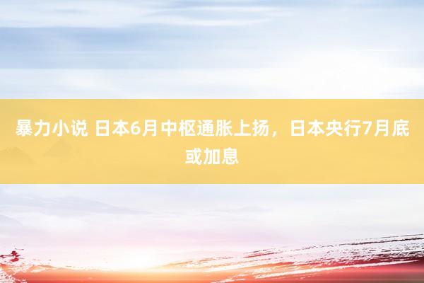 暴力小说 日本6月中枢通胀上扬，日本央行7月底或加息