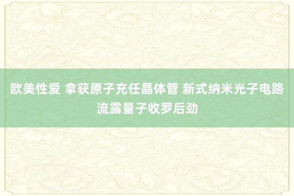 欧美性爱 拿获原子充任晶体管 新式纳米光子电路流露量子收罗后劲