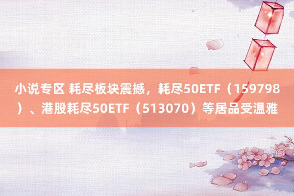 小说专区 耗尽板块震撼，耗尽50ETF（159798）、港股耗尽50ETF（513070）等居品受温雅