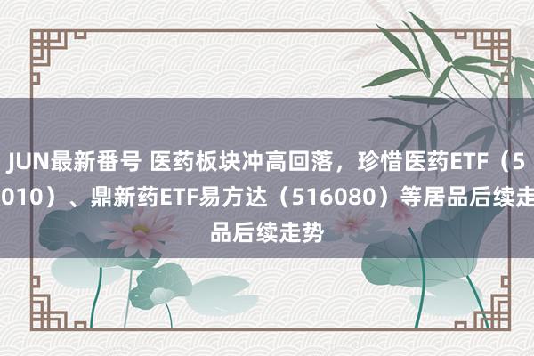 JUN最新番号 医药板块冲高回落，珍惜医药ETF（512010）、鼎新药ETF易方达（516080）等居品后续走势