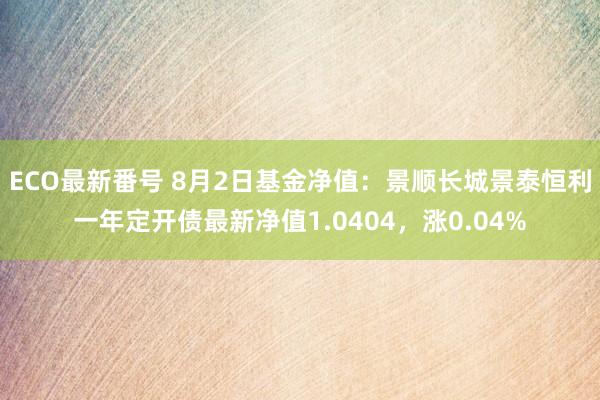 ECO最新番号 8月2日基金净值：景顺长城景泰恒利一年定开债最新净值1.0404，涨0.04%