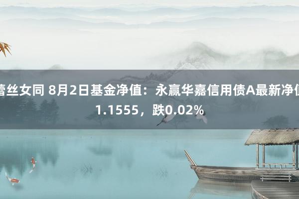 蕾丝女同 8月2日基金净值：永赢华嘉信用债A最新净值1.1555，跌0.02%