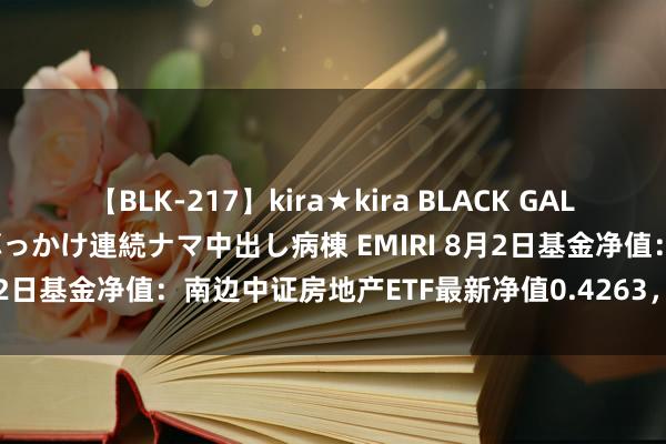 【BLK-217】kira★kira BLACK GAL黒ギャルご奉仕ナース 大量ぶっかけ連続ナマ中出し病棟 EMIRI 8月2日基金净值：南边中证房地产ETF最新净值0.4263，跌0.54%