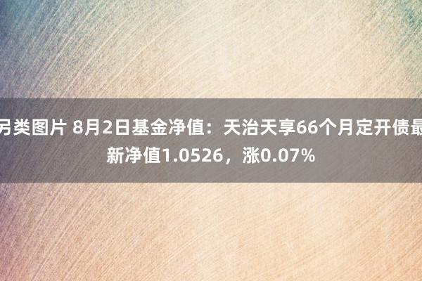 另类图片 8月2日基金净值：天治天享66个月定开债最新净值1.0526，涨0.07%