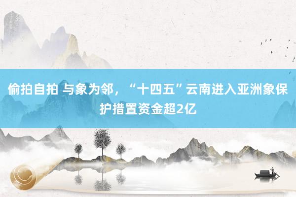 偷拍自拍 与象为邻，“十四五”云南进入亚洲象保护措置资金超2亿