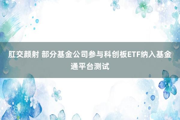 肛交颜射 部分基金公司参与科创板ETF纳入基金通平台测试