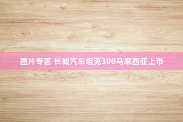 图片专区 长城汽车坦克300马来西亚上市