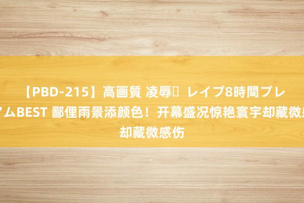 【PBD-215】高画質 凌辱・レイプ8時間プレミアムBEST 鄙俚雨景添颜色！开幕盛况惊艳寰宇却藏微感伤