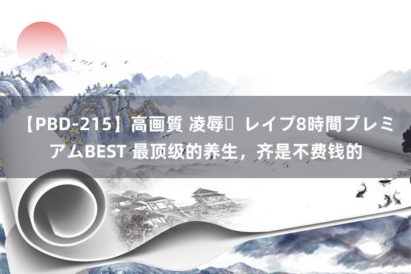 【PBD-215】高画質 凌辱・レイプ8時間プレミアムBEST 最顶级的养生，齐是不费钱的