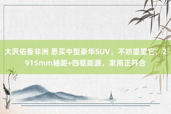 大沢佑香非洲 思买中型豪华SUV，不妨望望它，2915mm轴距+四驱能源，家用正符合