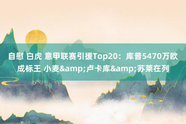 自慰 白虎 意甲联赛引援Top20：库普5470万欧成标王 小麦&卢卡库&苏莱在列