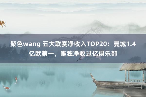 聚色wang 五大联赛净收入TOP20：曼城1.4亿欧第一，唯独净收过亿俱乐部