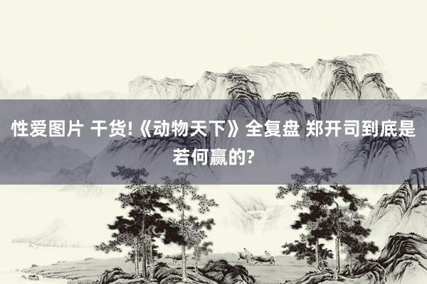 性爱图片 干货!《动物天下》全复盘 郑开司到底是若何赢的?