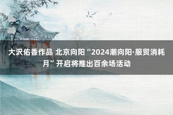 大沢佑香作品 北京向阳“2024潮向阳·服贸消耗月”开启将推出百余场活动