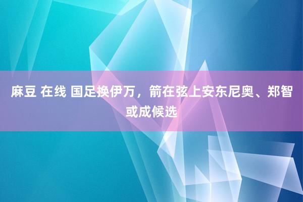 麻豆 在线 国足换伊万，箭在弦上安东尼奥、郑智或成候选