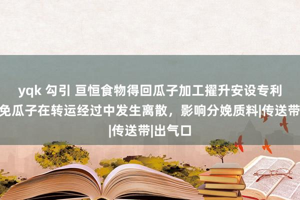 yqk 勾引 亘恒食物得回瓜子加工擢升安设专利，可幸免瓜子在转运经过中发生离散，影响分娩质料|传送带|出气口