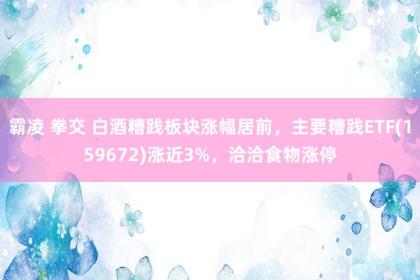 霸凌 拳交 白酒糟践板块涨幅居前，主要糟践ETF(159672)涨近3%，洽洽食物涨停