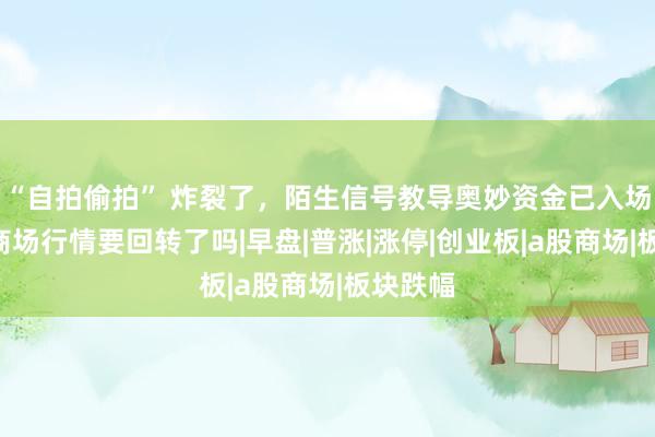 “自拍偷拍” 炸裂了，陌生信号教导奥妙资金已入场，A股商场行情要回转了吗|早盘|普涨|涨停|创业板|a股商场|板块跌幅