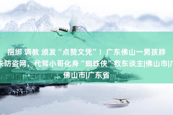 捆绑 调教 颁发“点赞文凭”！广东佛山一男孩脖子被卡防盗网，代驾小哥化身“蜘蛛侠”救东谈主|佛山市|广东省